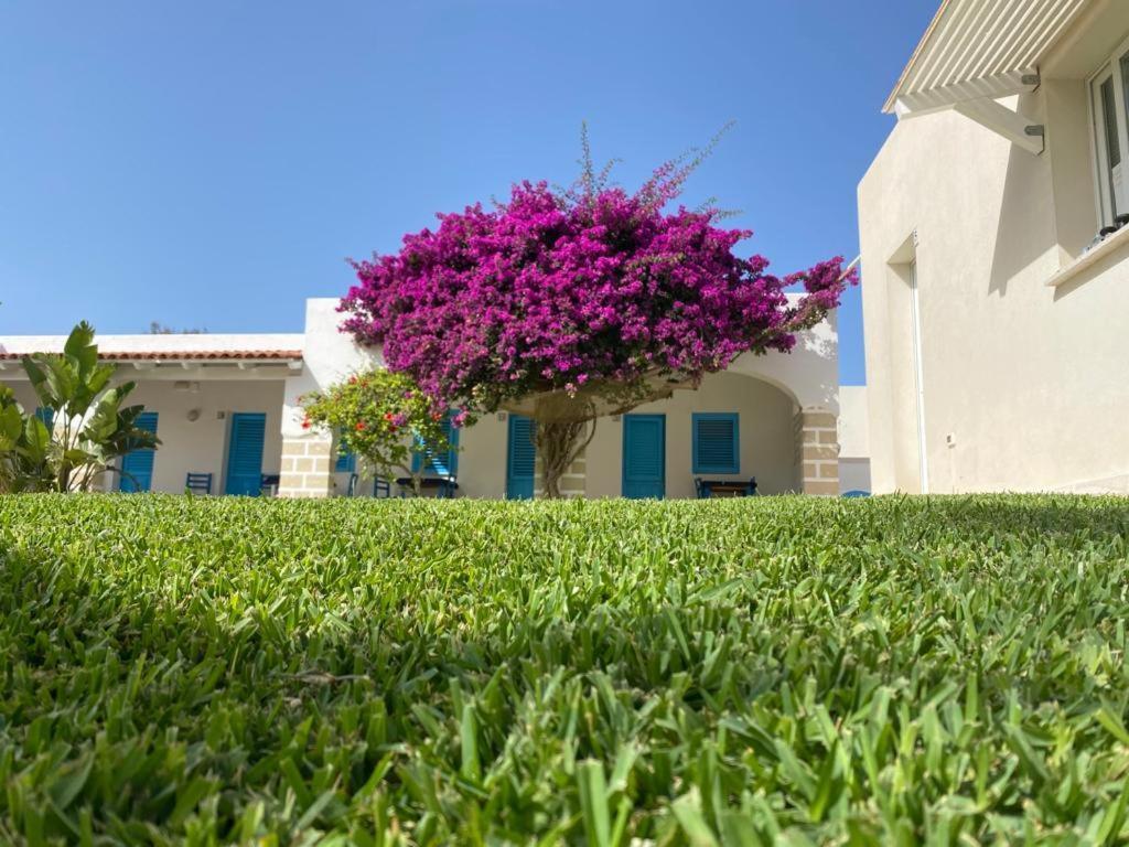 Hotel Antichi Mulini Favignana Exteriér fotografie